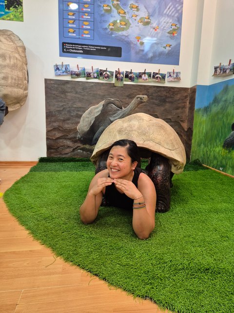 Traveler smiling under a giant tortoise shell, in front of a map of tortoise species