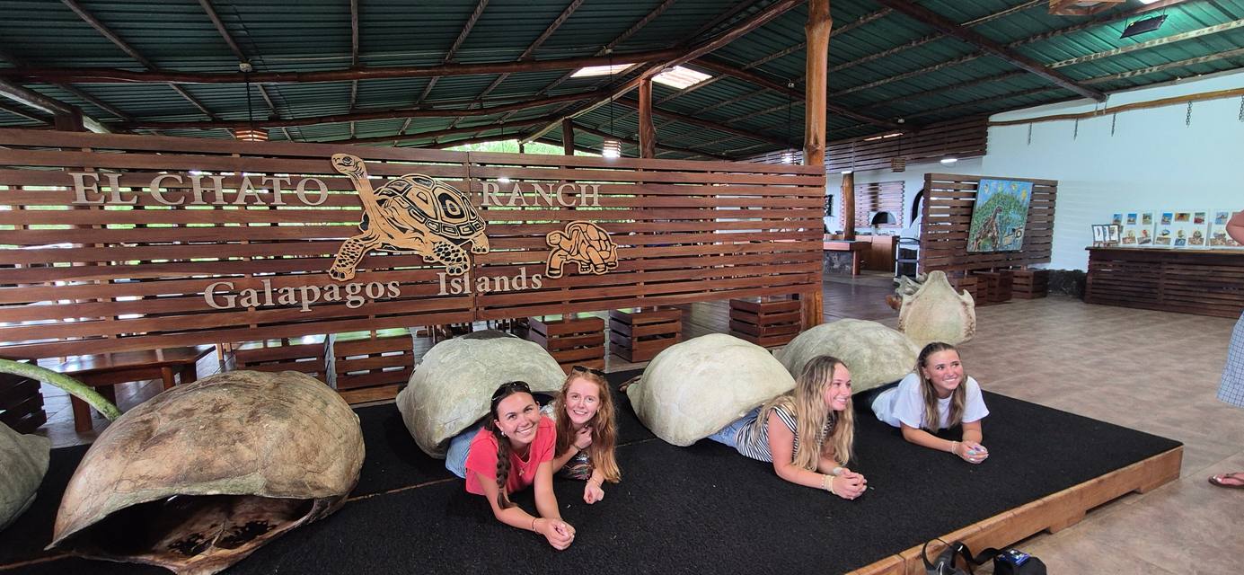 Travelers peeking out from under giant tortoise shells at El Chato Ranch