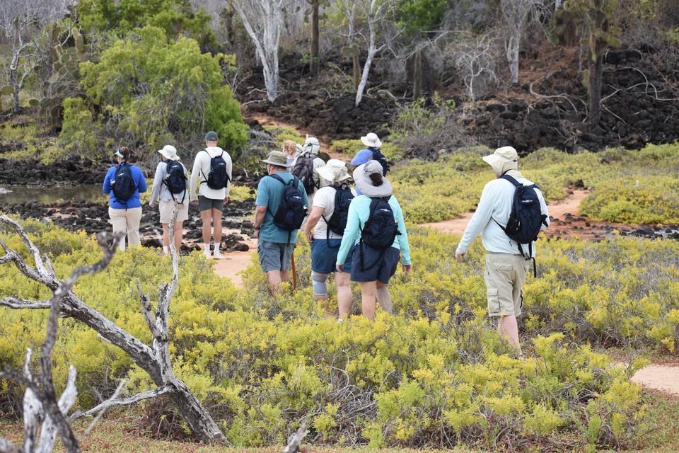 Travelers walking a trail through dry vegetation