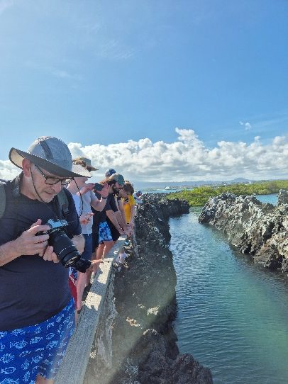 Travelers photographing the Las Tintoreras channel between lava rocks