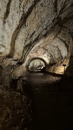 Inside a lava tunnel in the Santa Cruz highlands