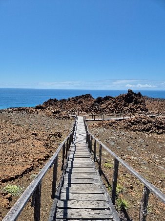 Wooden boardwalk to the Bartolomé lookout, with the sea behind