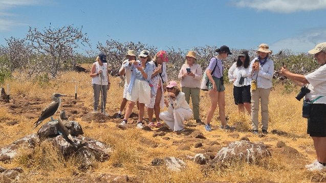 Travelers photographing a blue-footed booby on North Seymour